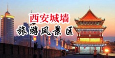 操啪中国陕西-西安城墙旅游风景区