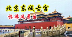 肏美女大骚屄的小电影中国北京-东城古宫旅游风景区